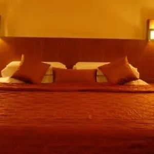 Maurya Palace Hotel